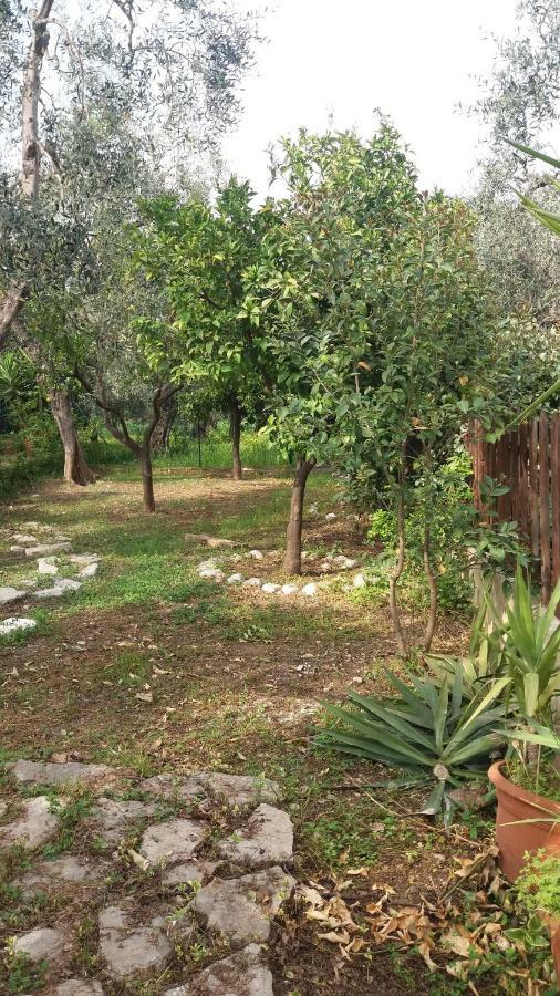 Villa Fralù Mattinata Exterior foto